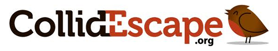 CollidEscape logo